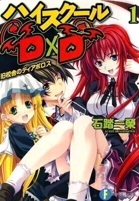 Cover of High School DxD