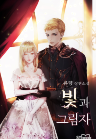 Cover of Light and Shadow