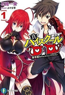Cover of Shin High School DxD