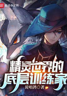 Cover of The bottom trainer in the elf world